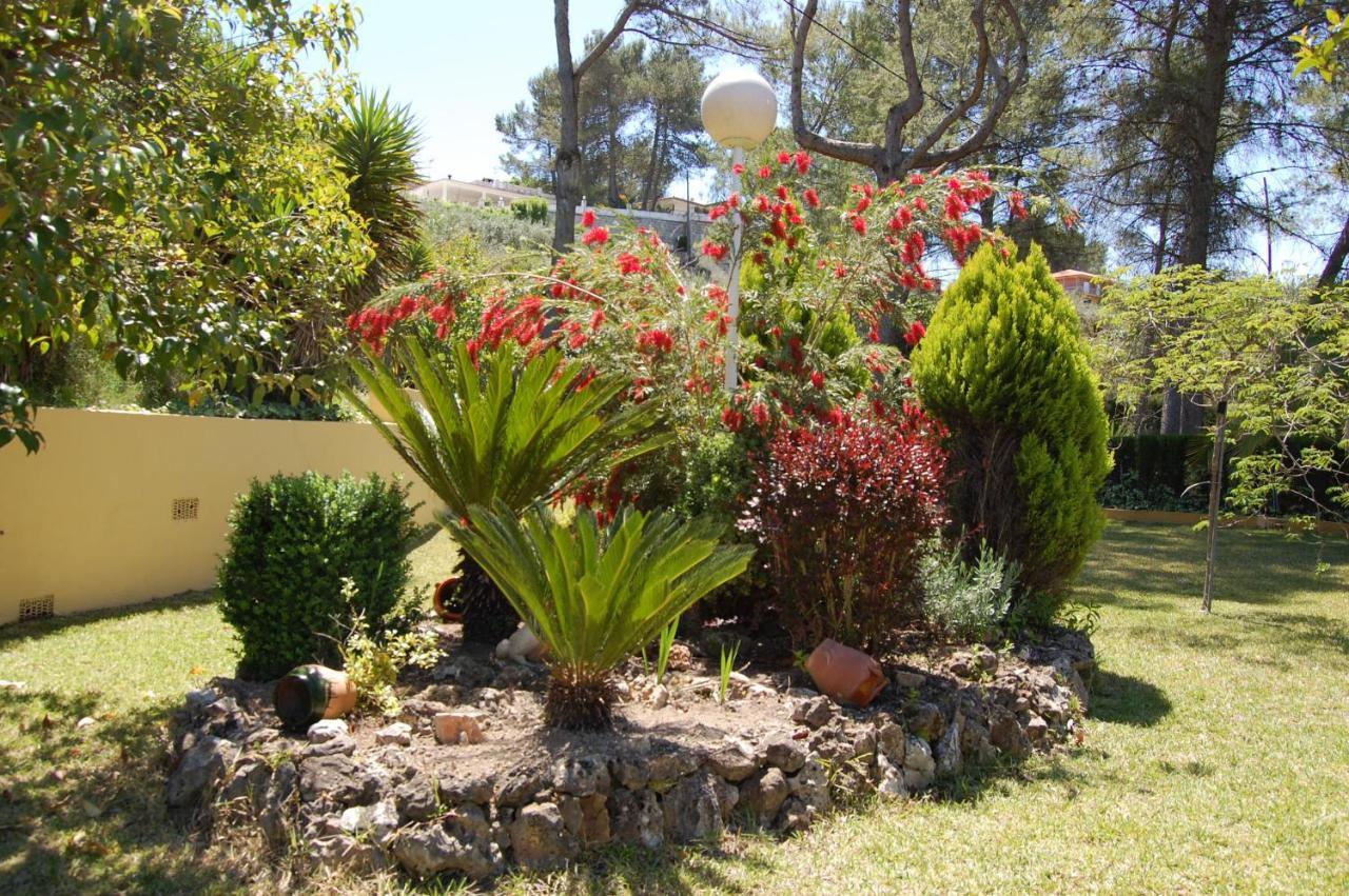 Wonderful Villa, Heated Pool, Near Beautiful Town Alboy Esterno foto